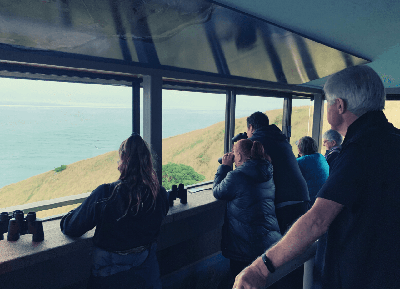 Albatross Classic Guided Tour - image 5