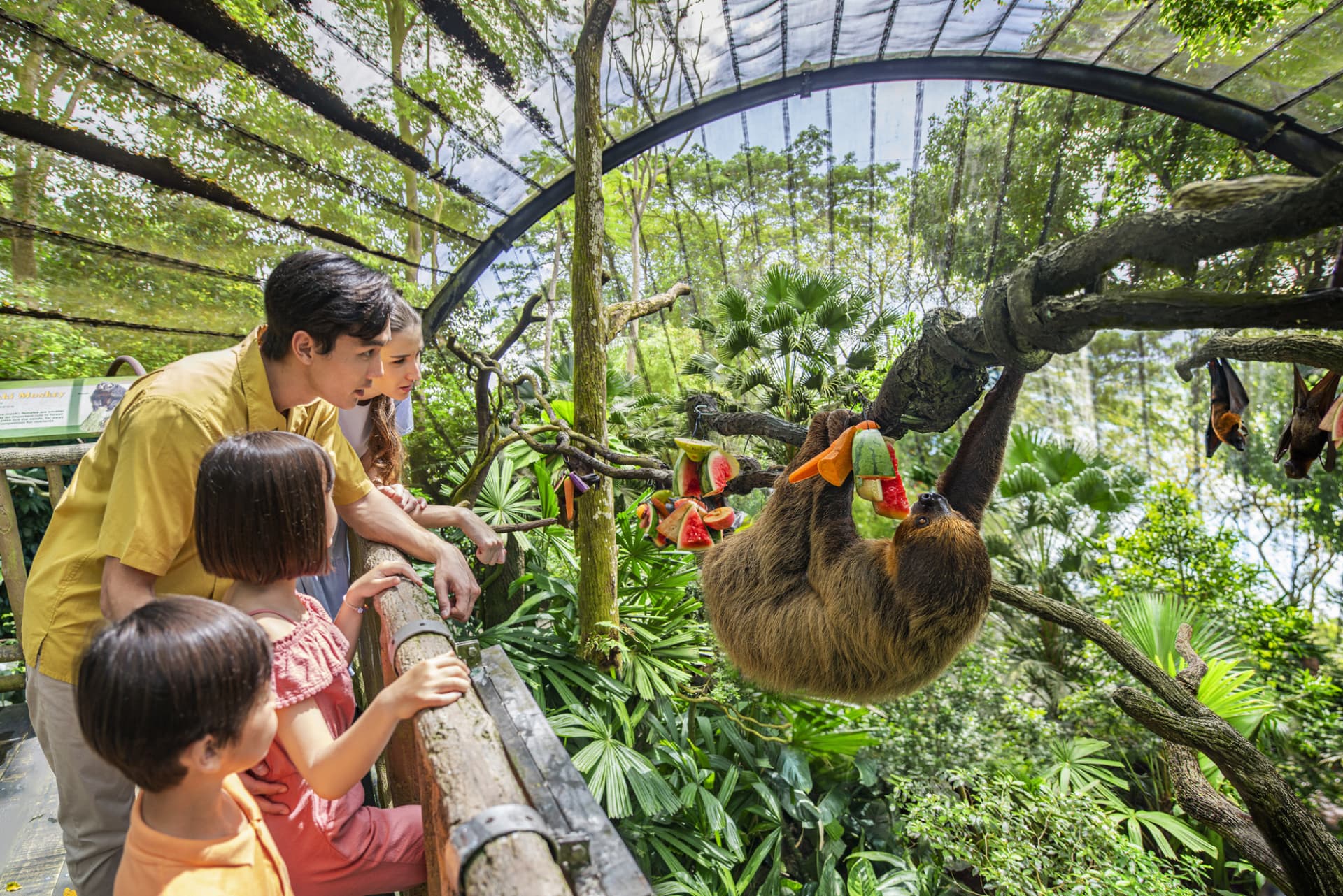 5-in-1 Day Pass: Night Safari + Singapore Zoo + Bird Paradise + River Wonders + Rainforest Adventure - image 3